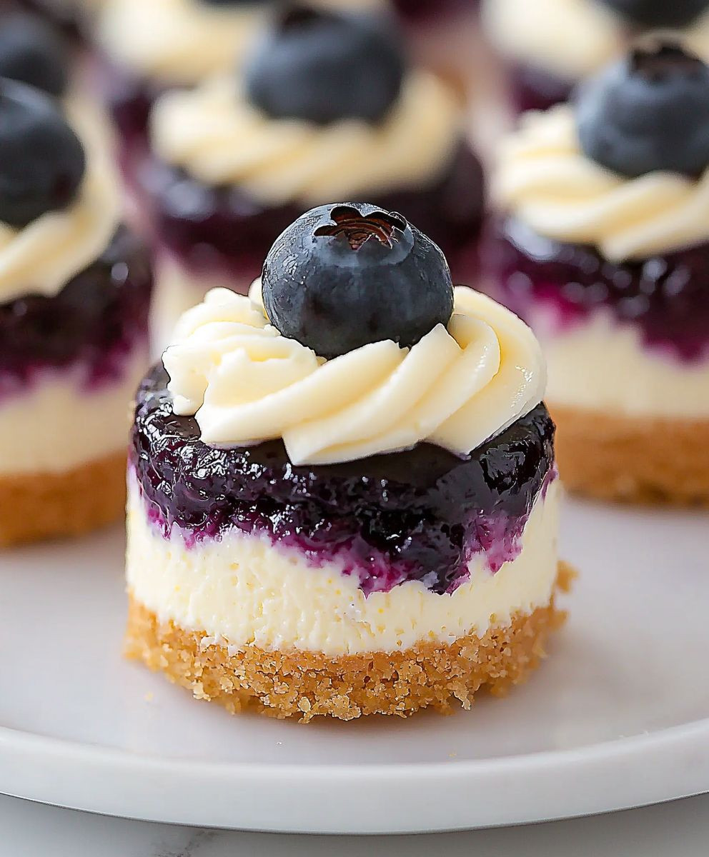 Mini Lemon Blueberry Cheesecake